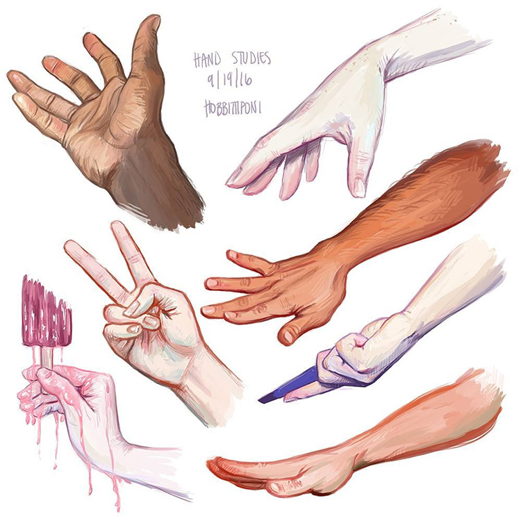 Digital paintings of hand studies