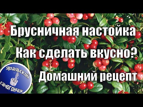 Настойка из Брусники