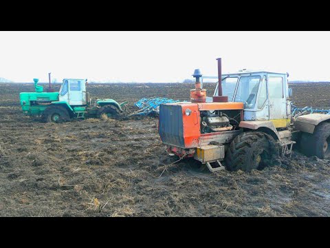 Как двух утопших тракторов Т-150К трактор МТЗ-1221 вытащил. Russian crazy Tractor stuck in a swamp