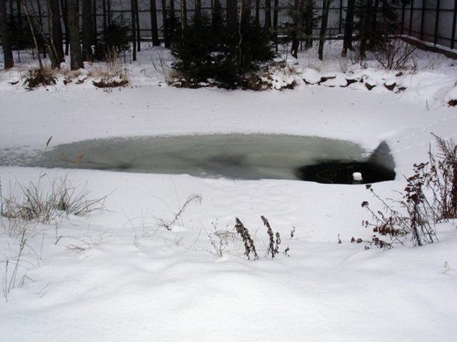 Замерзший пруд - основа для катка своими руками
