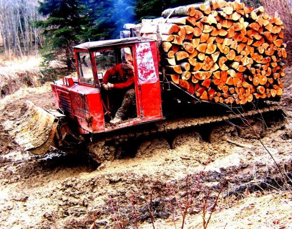 Работа трактора ТДТ-55 в лесу