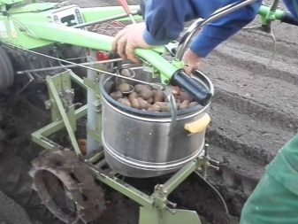 Картофелесажалки для мини-трактора: особенности и тонкости выбора 