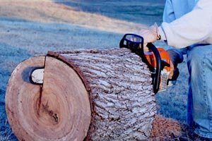 Ripping a log with a gas powered Stihl chainsaw.